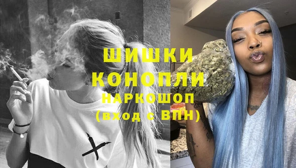шишки Богданович