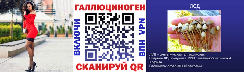 Галлюциногенные грибы Magic Shrooms  где купить   Южно-Сахалинск 